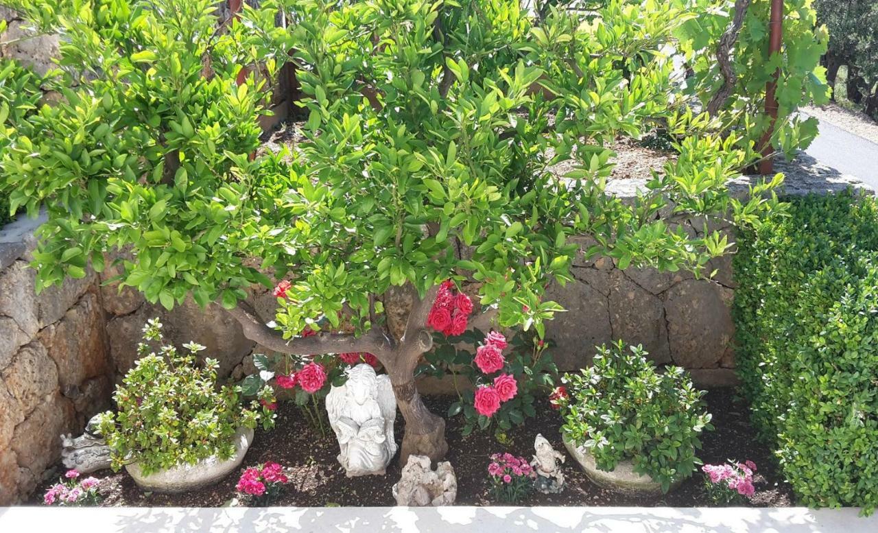Guest House Fenix Brela Εξωτερικό φωτογραφία